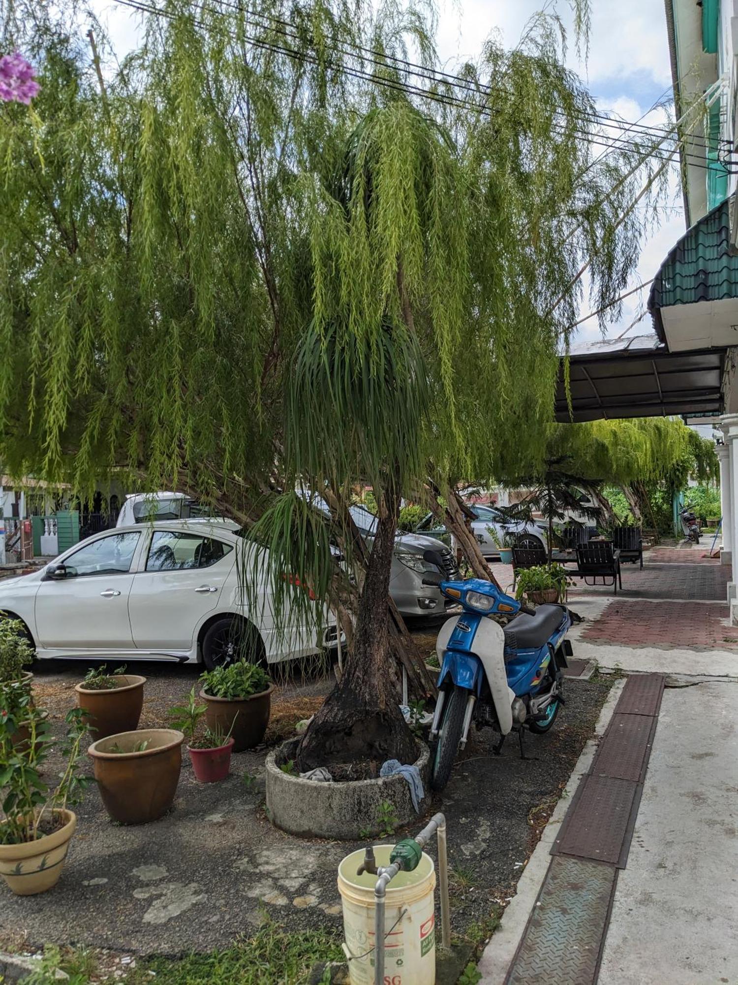 Ene Sri Cemerlang Kota Bharu Kültér fotó