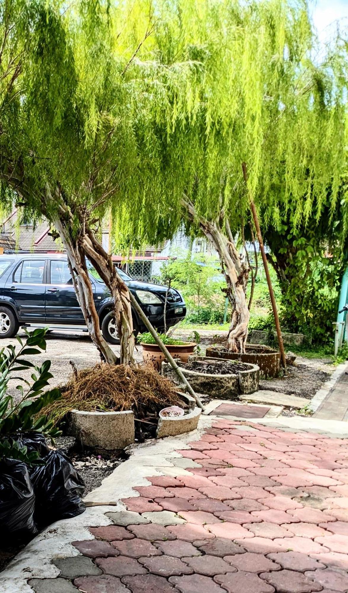 Ene Sri Cemerlang Kota Bharu Kültér fotó